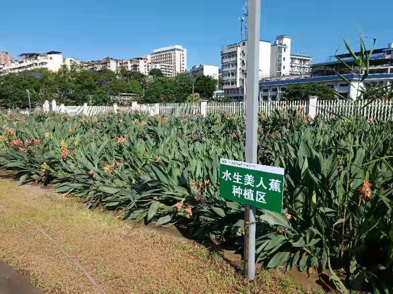 中國文房四寶協(xié)會(huì)團(tuán)體會(huì)員證書